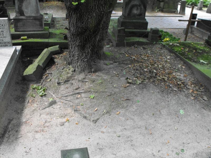 Zdjęcie grobu Pole Grobowe (1)