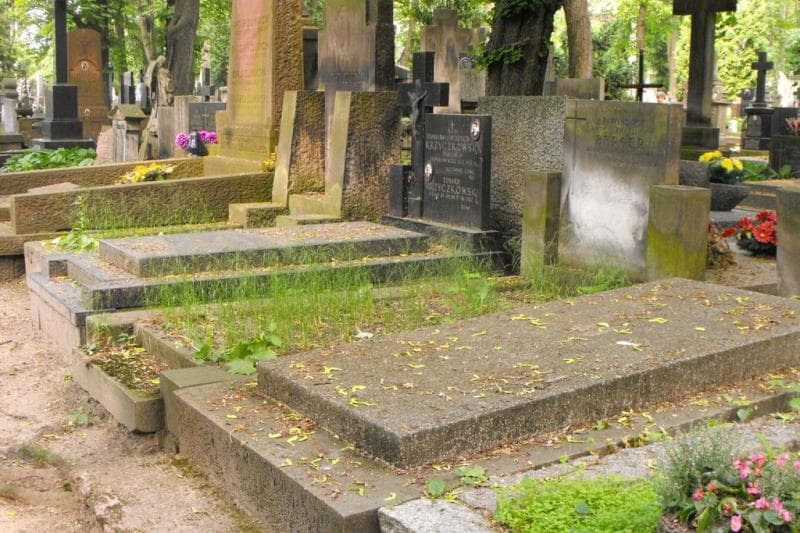 Zdjęcie grobu: Franciszka Janina Berger