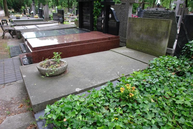 Zdjęcie grobu: Stefan Żmichowski