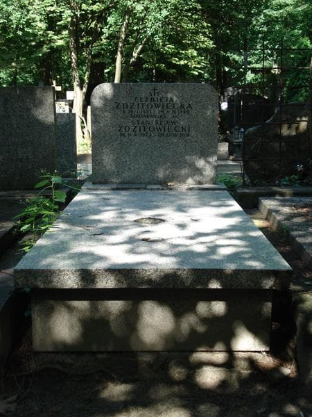 Zdjęcie grobu: Stanisław Zdzitowiecki