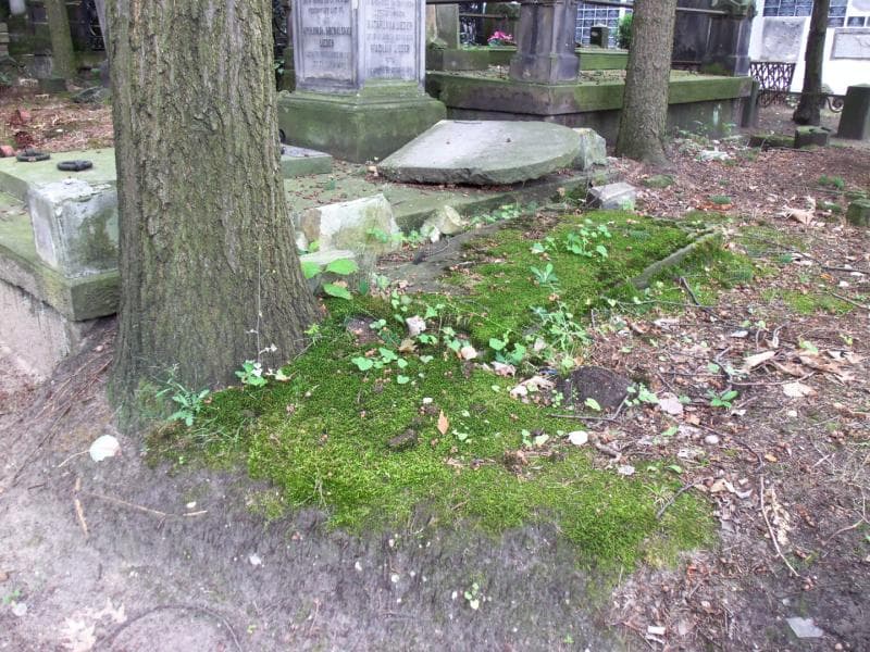 Zdjęcie grobu Walenty Chybczyński (1)