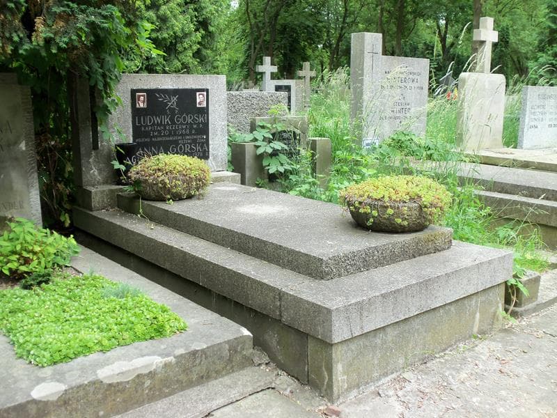 Zdjęcie grobu Anna Górska (1)