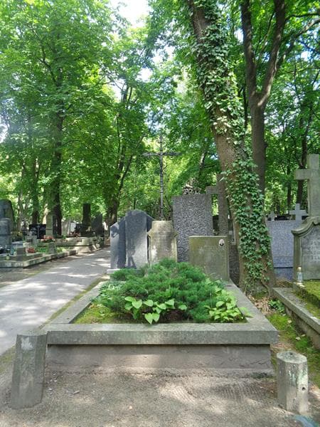 Zdjęcie grobu Juljan Chrupczałowski (1)