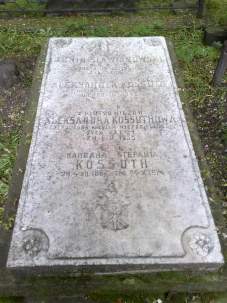 Zdjęcie grobu Michał Bonin-Sławianowski (2)