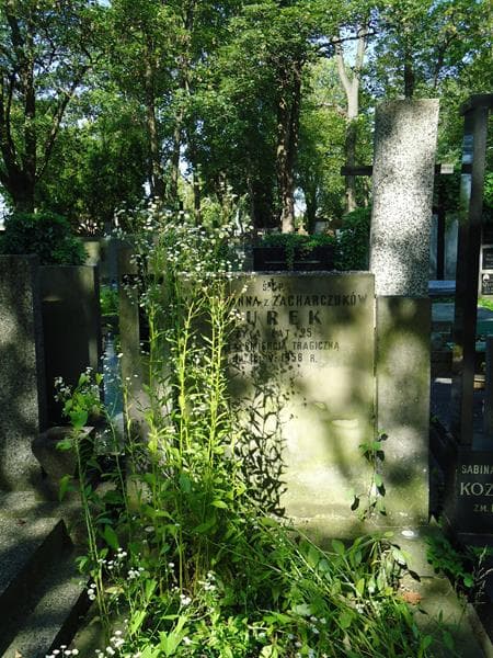 Zdjęcie grobu Maria Hanna Kurek (2)