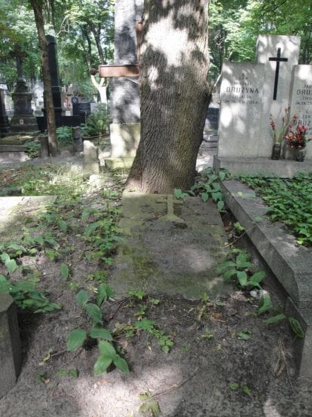 Zdjęcie grobu: Ludomir Lipczyński