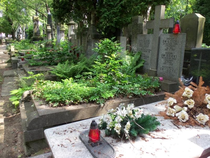 Zdjęcie grobu Maria Borowska (1)