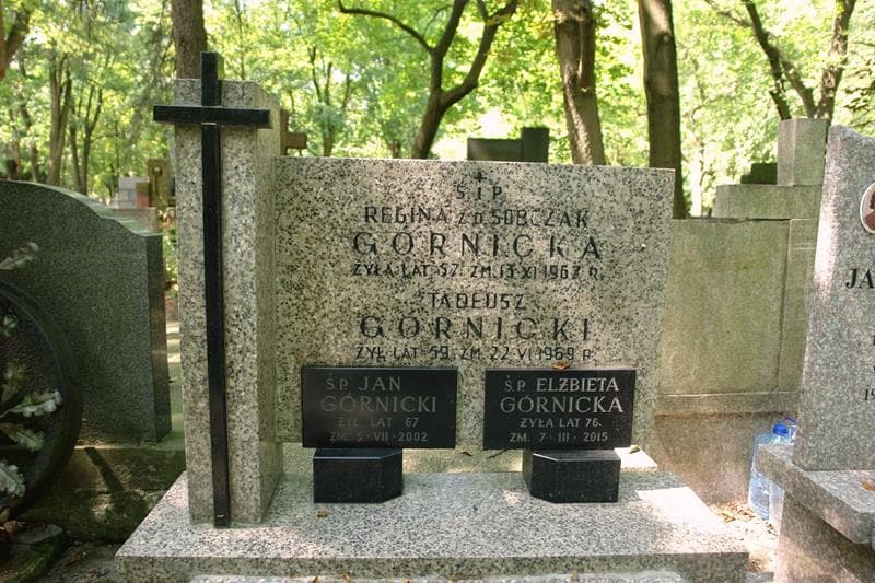 Zdjęcie grobu Tadeusz Górnicki (2)