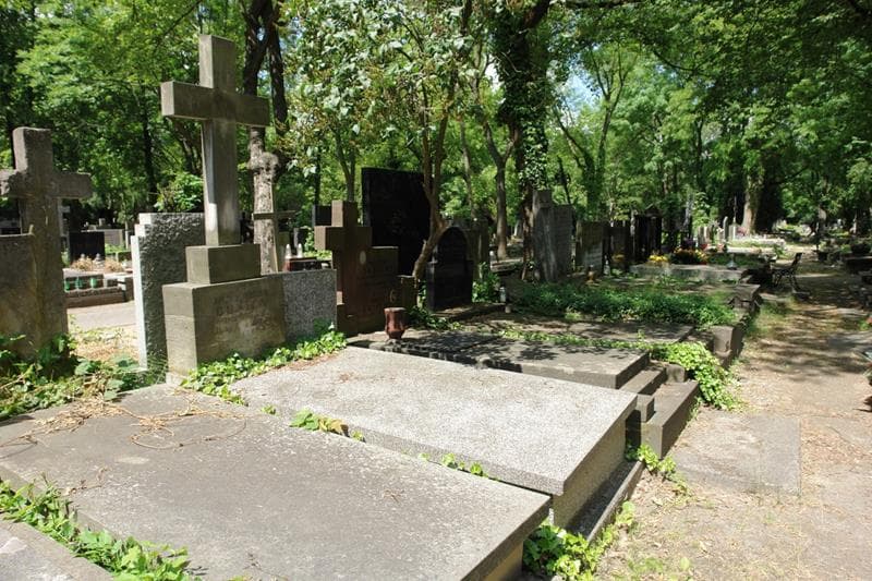 Zdjęcie grobu: Józef Donica