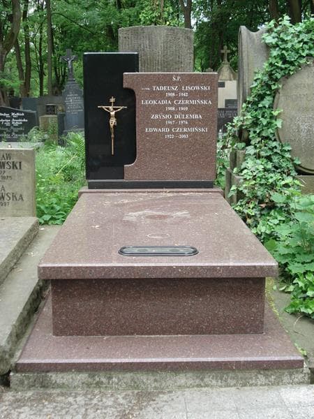 Zdjęcie grobu: Edward Czermiński