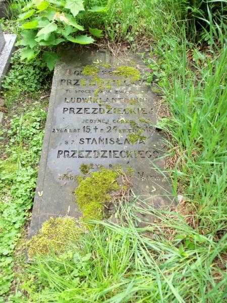 Zdjęcie grobu Stanisław Przeździecki (1)