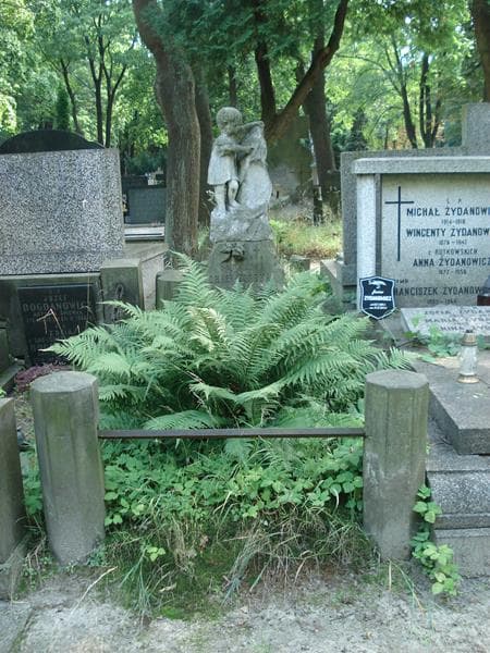 Zdjęcie grobu: Szczepuś Charaziński