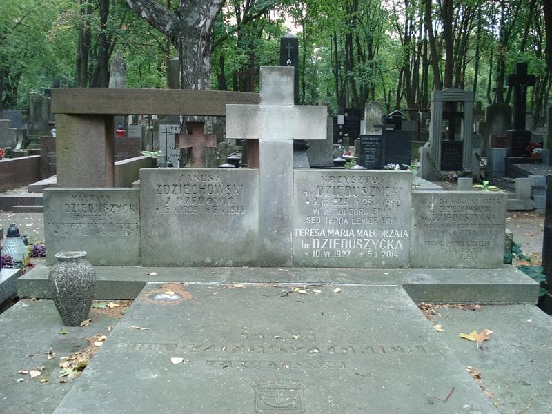 Zdjęcie grobu Janusz Zdziechowski (2)