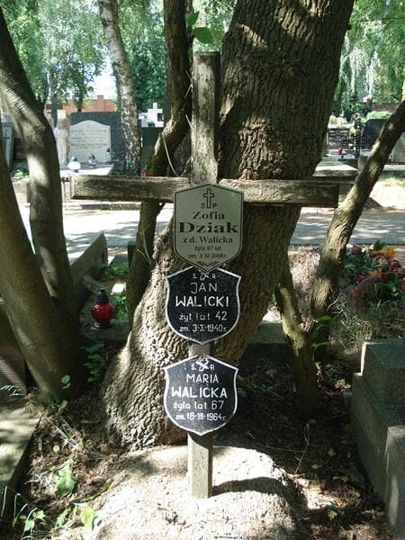 Zdjęcie grobu Jan Walicki (1)