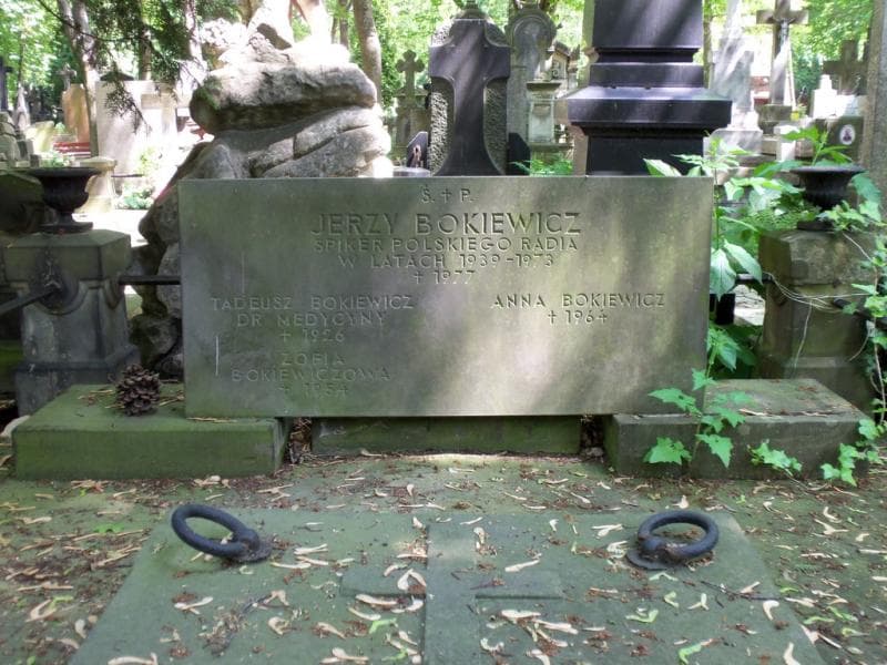 Zdjęcie grobu Jerzy Bokiewicz (2)