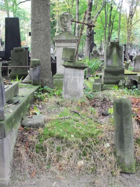 Zdjęcie grobu: Zygmunt Nałęcz Gostomski