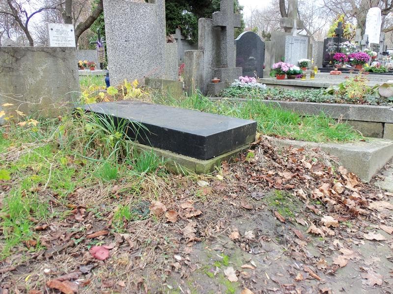 Zdjęcie grobu Zygmunt From (1)