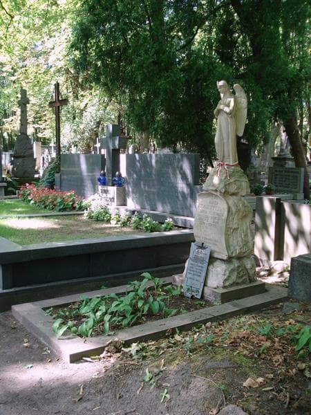 Zdjęcie grobu: Józef Toczyski
