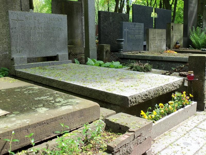 Zdjęcie grobu Wiera Lewicka (1)