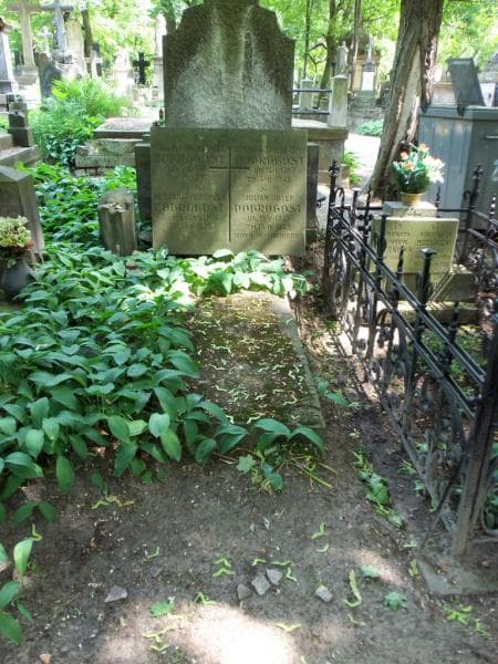 Zdjęcie grobu: Wacław Franciszek Dobrogost
