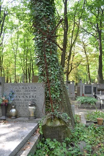 Zdjęcie grobu ... Ulatowska (2)
