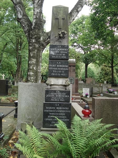 Zdjęcie grobu Marian Borowski (2)
