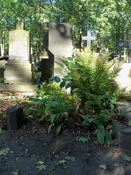 Zdjęcie grobu: Róża Bałtutis