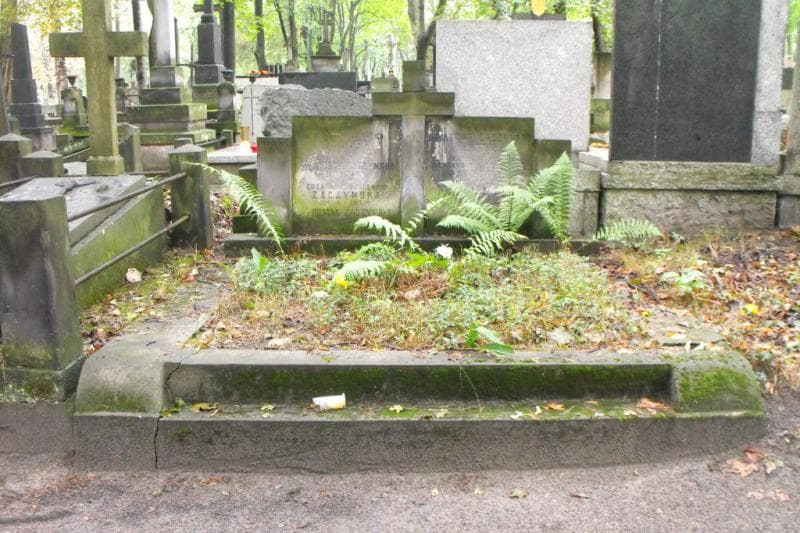 Zdjęcie grobu: Aleksandra Pawłowicz