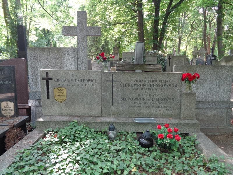 Zdjęcie grobu Konstanty Dziebowicz (2)