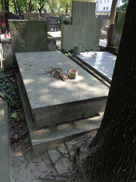 Zdjęcie grobu Henryka Kołaczkowska (1)