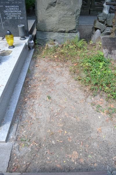 Zdjęcie grobu Pole Grobowe (1)