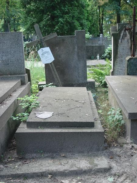 Zdjęcie grobu: Stefan Mielnik