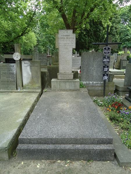 Zdjęcie grobu: Ludwika Żyliczowa