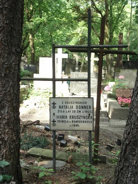 Zdjęcie grobu Bohdan Donner (2)
