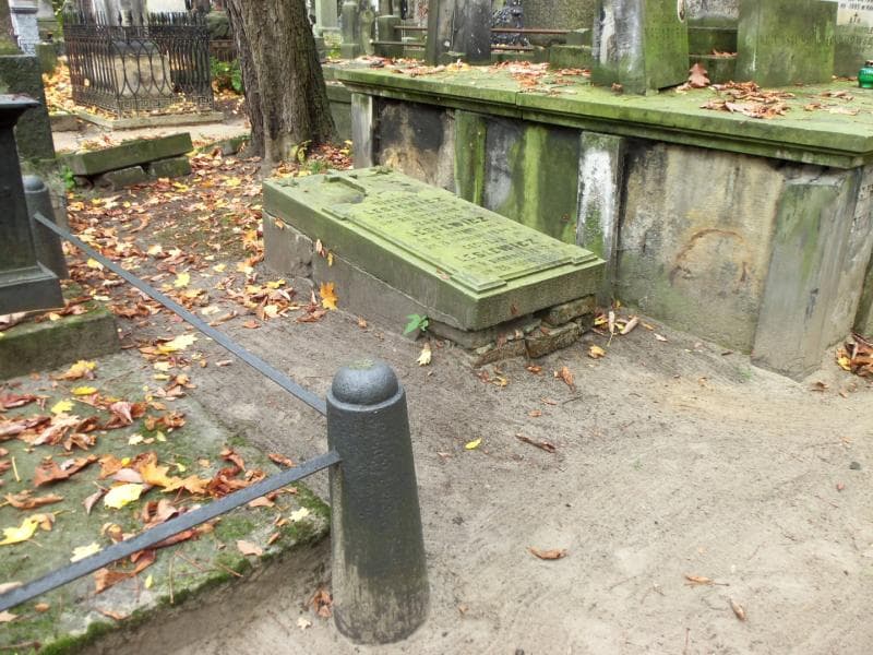 Zdjęcie grobu Wincenty Lesiewicz (1)