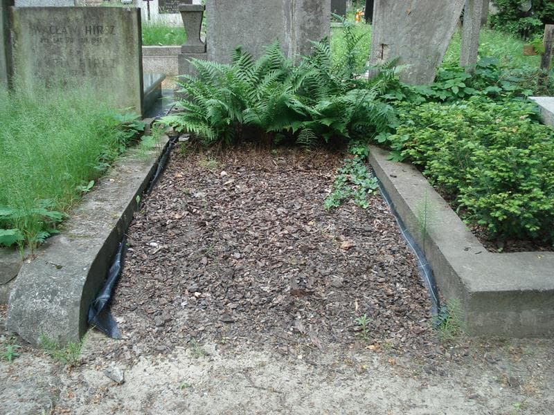 Zdjęcie grobu: Pole Grobowe