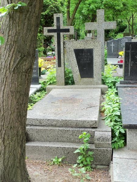 Zdjęcie grobu: Władysław Liszewski