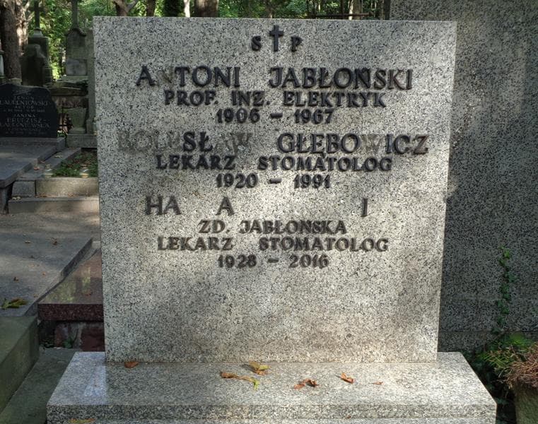 Zdjęcie grobu Bolesław Głębowicz (2)