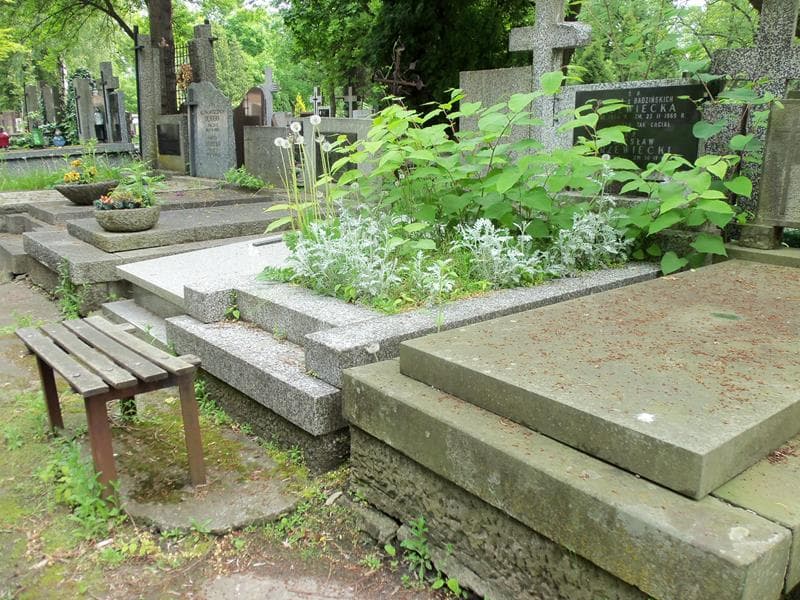 Zdjęcie grobu Wiktoria Drzewiecka (1)
