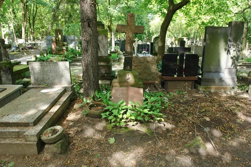 Zdjęcie grobu Henryk Stępkowski (1)