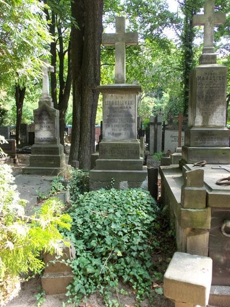 Zdjęcie grobu: Romana Żurowska