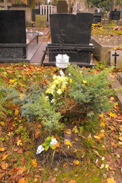Zdjęcie grobu: Tadeusz Gwiaździński