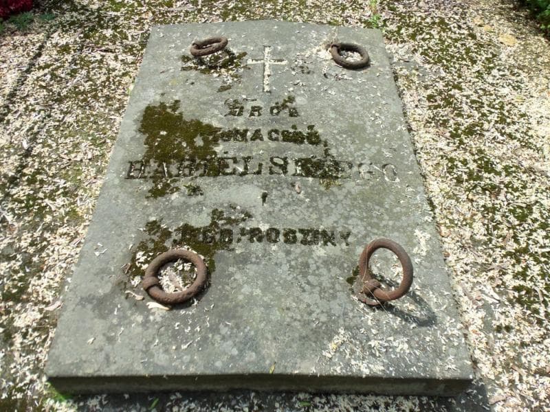 Zdjęcie grobu Władysław Habielski (2)