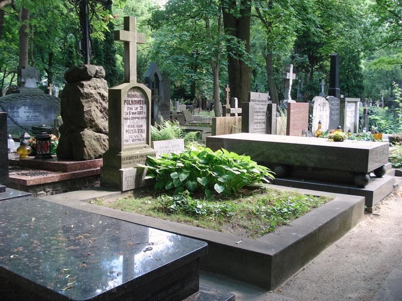 Zdjęcie grobu: Henryka Polkowska
