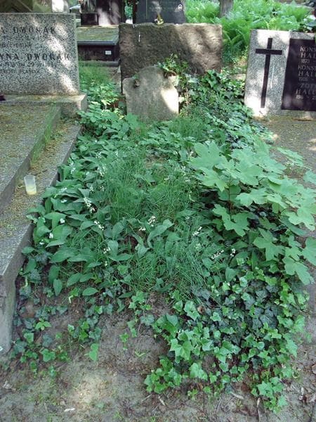 Zdjęcie grobu: Loward Wyger