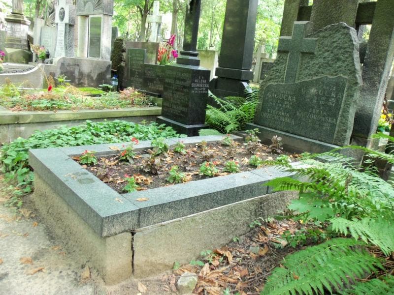 Zdjęcie grobu Stefania Orzechowska (1)