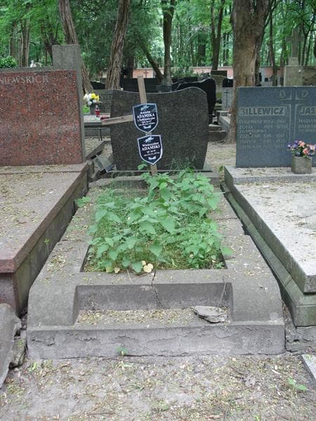 Zdjęcie grobu: Wieńczysław Adamski