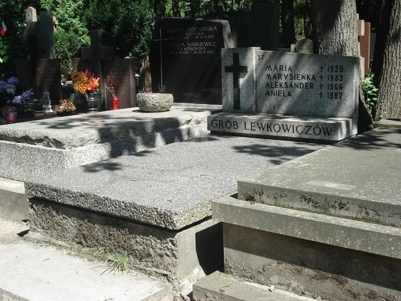 Zdjęcie grobu Aleksander Lewkowicz (1)