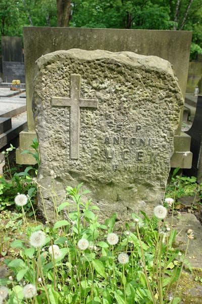 Zdjęcie grobu Antoni Pucek (2)
