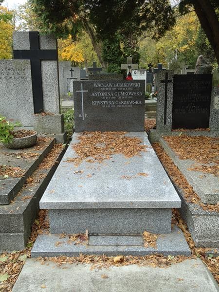 Zdjęcie grobu: Krystyna Olszewska